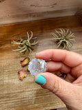 Cluster Earrings – Pink Opal & Sterling Silver