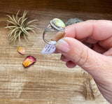 Small Ring- size 8 - Palomino Turquoise & Sterling Silver
